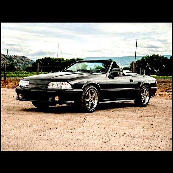 Meet your Posher, Rinks - Picture 4 of 8